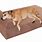 Orthopedic Dog Beds for Large Dogs
