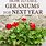 Overwintering Geraniums