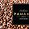 Panama Geisha Coffee Beans