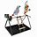 Parrot Playstand