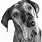 Pencil Drawings of Dog Breeds