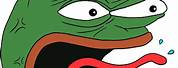 Pepe the Frog Meme Face