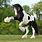 Percheron Clydesdale Horses