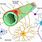 Pericytes Function