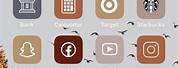 Phone App Icon Aesthetic