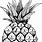 Pineapple Fruit Drawing