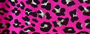 Pink Cheetah Print Fabric