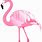 Pink Flamingo Graphics