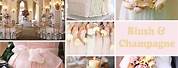 Pink and Champagne Wedding Backgrounds