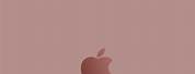 Pink iPhone 6s Wallpaper