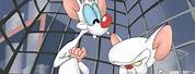 Pinky and the Brain Quotes Funny