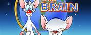 Pinky and the Brain Show