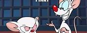 Pinky and the Brain Yes Meme