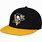 Pittsburgh Penguins Hat