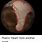 Pluto Heart Meme