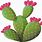 Prickly Cactus Clip Art