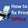 Printer Status Offline Fix