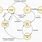 Process State Diagram in OS