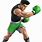 Punch Out Wii Little Mac
