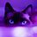 Purple Cat Background