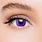 Purple Colored Eye Contacts