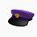 Purple Guy Hat Roblox