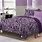 Purple Zebra Bedroom