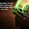 Quotes From Yoda