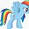 Rainbow Dash Pony