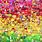 Rainbow Emoji Wallpaper