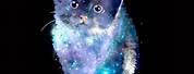 Rainbow Galaxy Background Cat