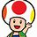 Rainbow Toad Mario