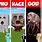 Real Ghast Minecraft