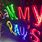 Real Neon Signs