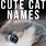 Really Cute Cat Names
