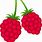 Red Berries Clip Art