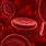 Red Blood Cells HD