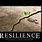 Resilience Quotes Funny