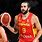 Ricky Rubio Spain