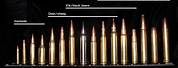 Rifle Ammo Size Comparison Chart