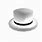 Roblox White Hat