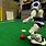 Robots Playing Soccer