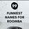 Roomba Names