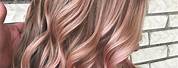 Rose Gold Hair Color Balayage