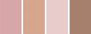 Rose Gold Pink Color Swatch