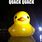 Rubber Duck Funny Memes