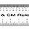 Ruler in Cm Actual Size