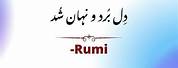 Rumi Poetry in Farsi