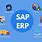 SAP Full Form Software
