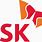 SK Logo Icon